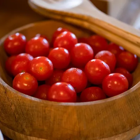 Отель Planeta & Club 3*