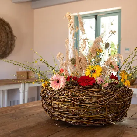 Отель Planeta & Club Менфи