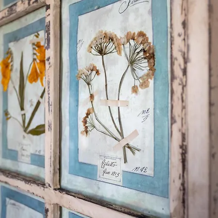 Отель Planeta & Club Менфи