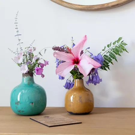 Planeta & Club 3* Менфи