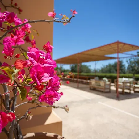 Planeta & Club Отель