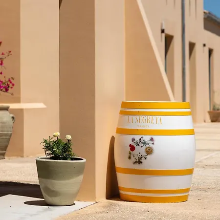 Planeta & Club 3* Менфи