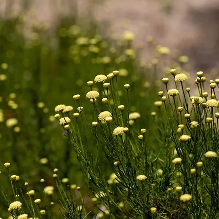 Planeta & Club 3* Менфи