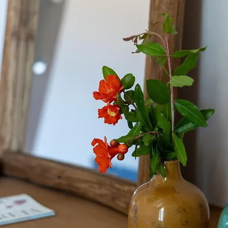 Отель Planeta & Club 3*