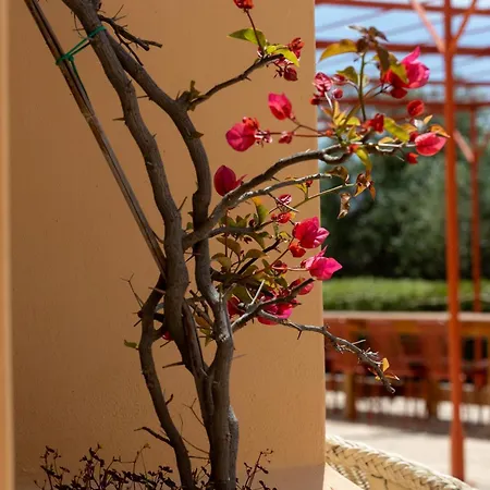 Planeta & Club Отель Менфи