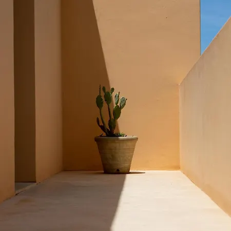 Отель Planeta & Club