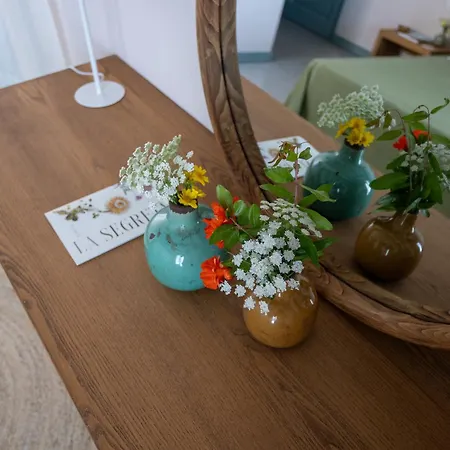 Planeta & Club 3* Менфи