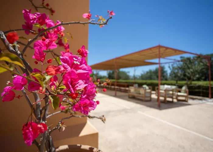 Planeta & Club Hotel