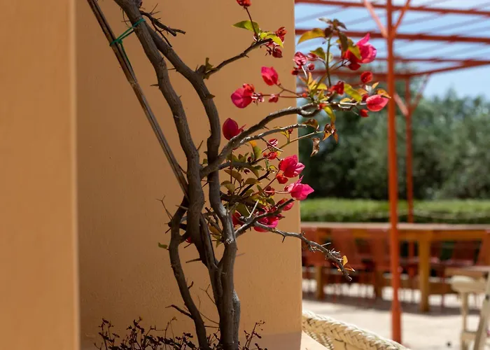 Planeta & Club Hotel Menfi